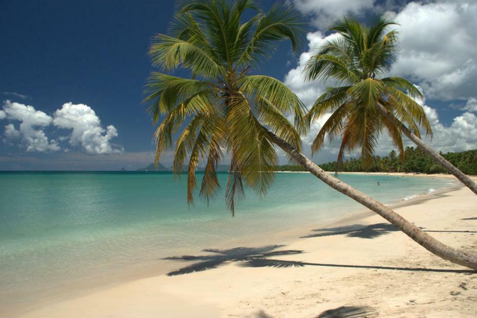 Holidays In Martinique - Ravenala Sainte-Anne Exterior photo